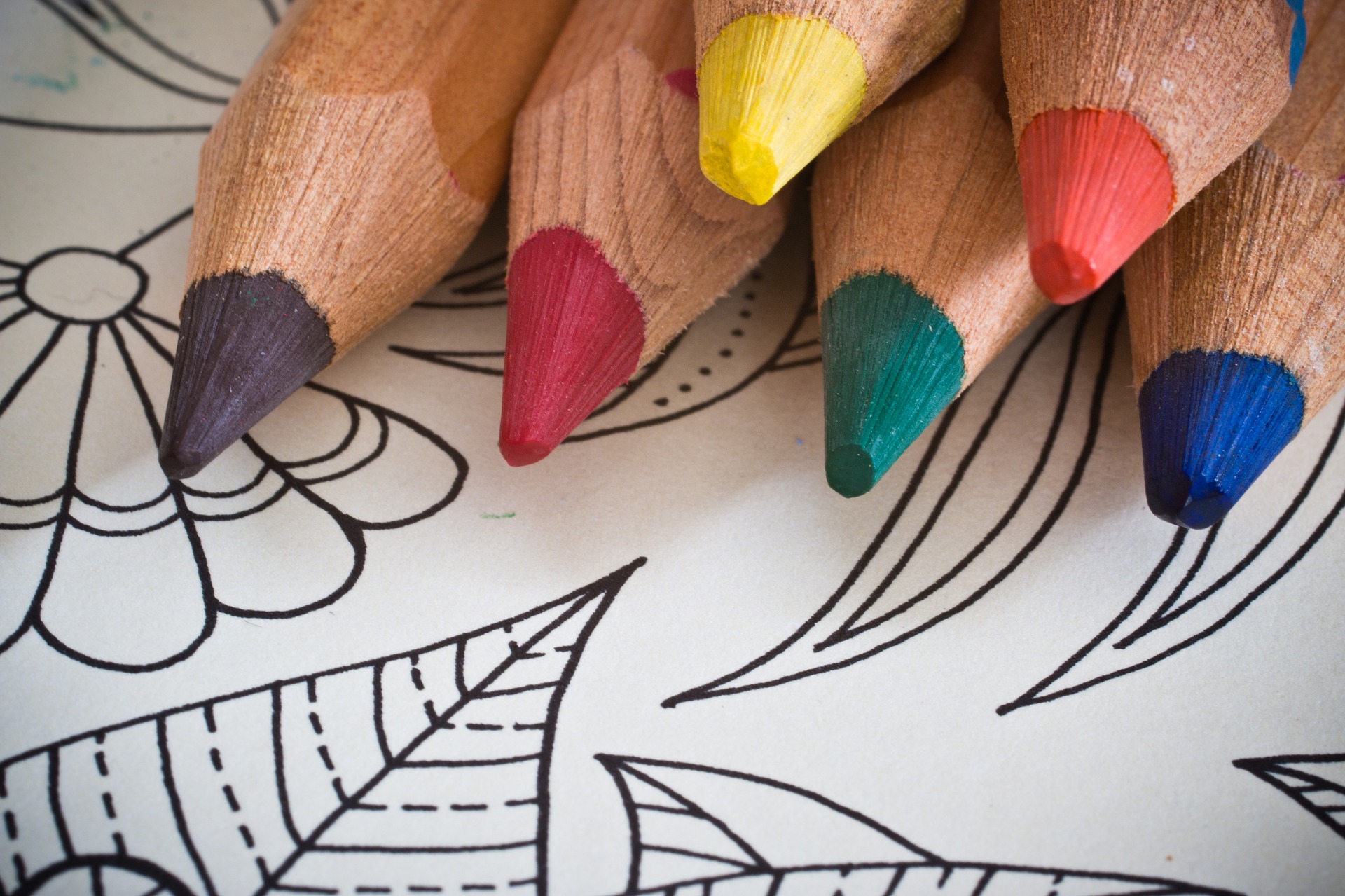 The Best Coloring Books For Adults in 2020