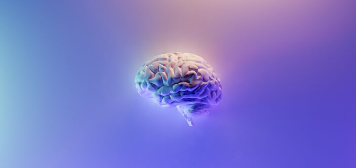 Image of a brain on a blue and purple background