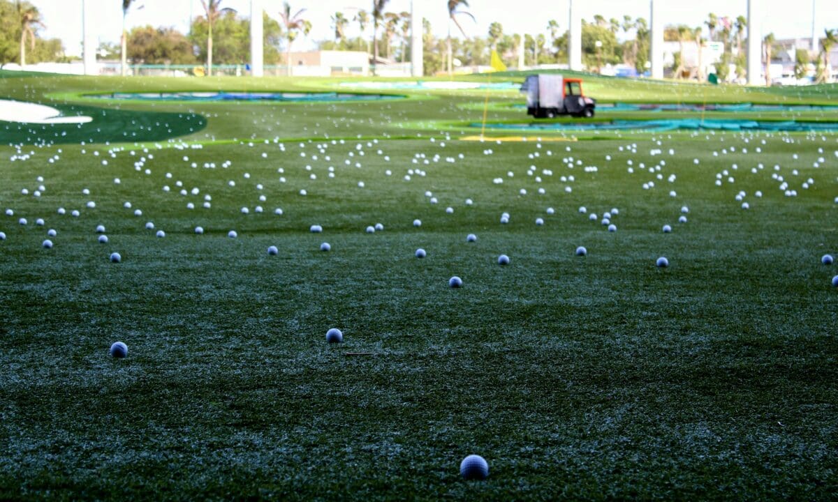 a field with a lot of golf balls